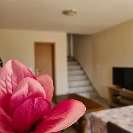 Apartman Senka *